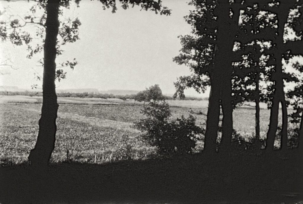 NF Mühlheim Blick vom NFH zur Kleinen und Großen Lohe (Copy)