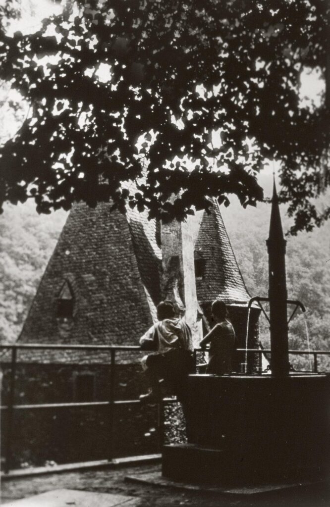 NF Mühlheim Moseltour auf Burg Elz (Copy)