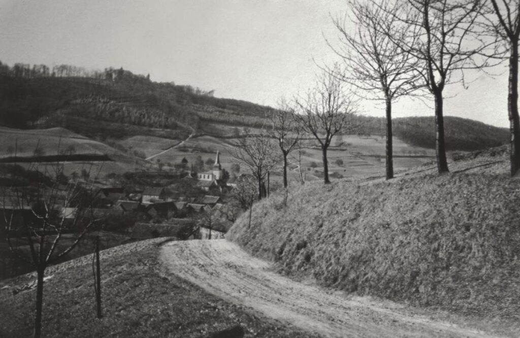 NF Mühlheim Wanderung im Spessart (Copy)