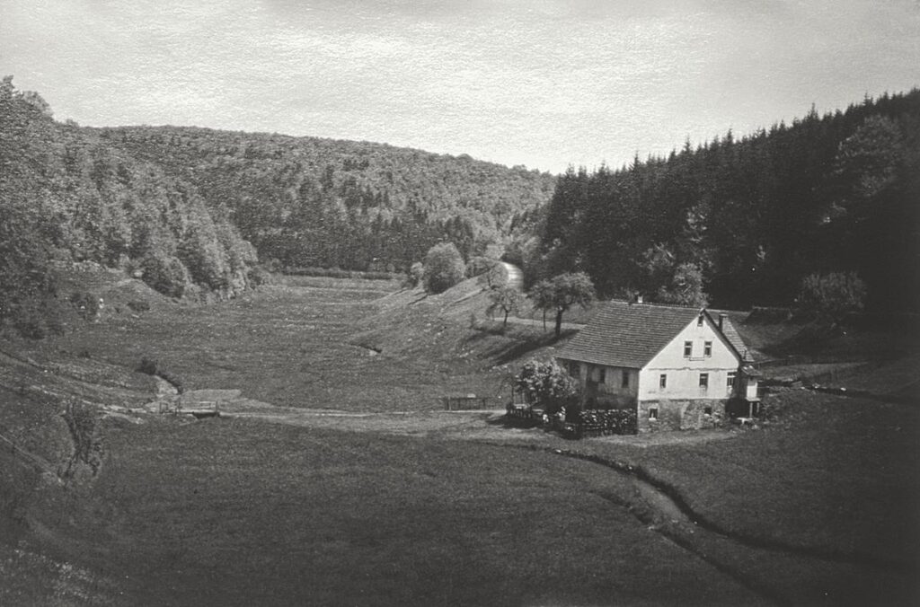 NF Mühlheim Wanderung im Spessart Rocke (Copy)
