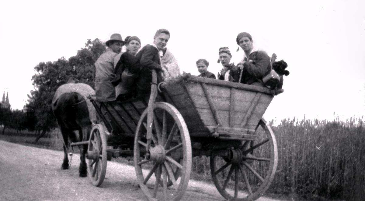 Naturfreunde Egelsbach Auf der Landstraße bei Bensheim Schwanheim ca 1927 (Copy)
