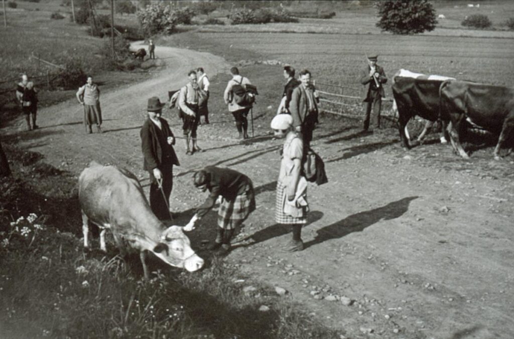 Naturfreunde Frankfurt Ausflug in den Vogelsberg Nr 62 ca 1930 (Copy)
