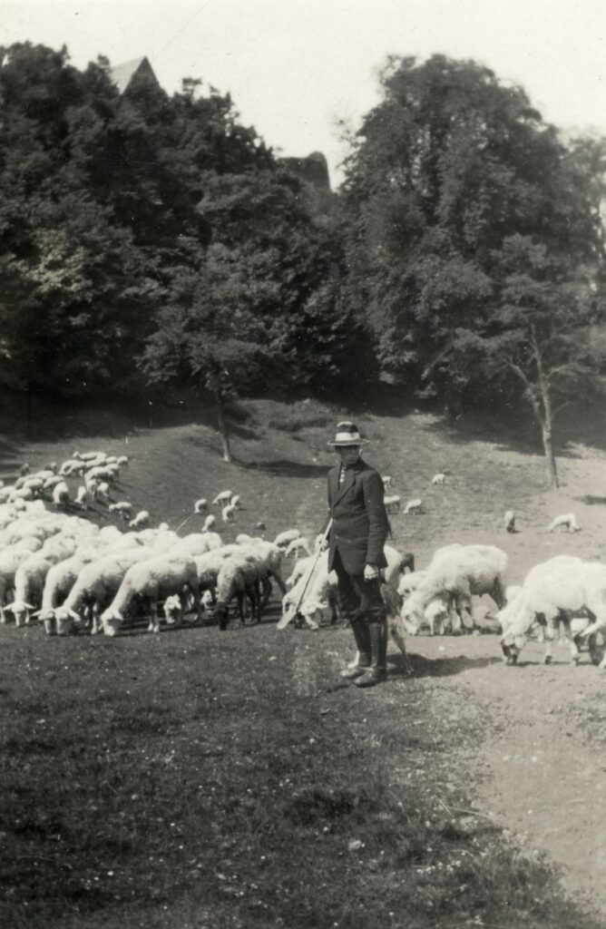 Naturfreunde Wetzlar Eschbacher Klippen Schafherde ca 1931 (Copy)