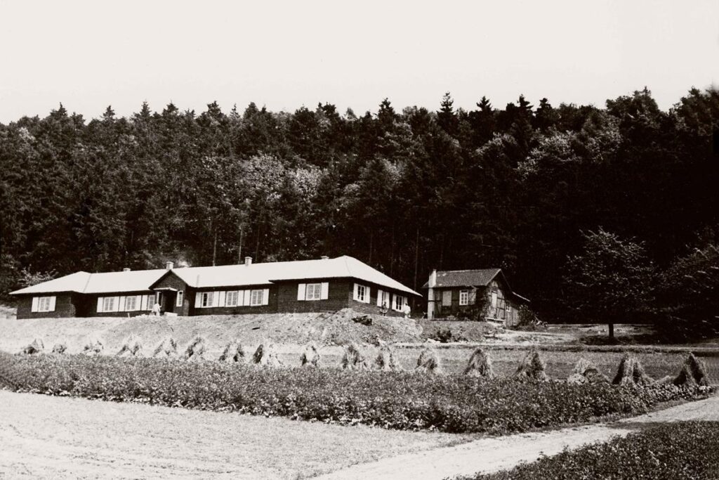 NF VILBEL bearbeitet 4 (Copy)