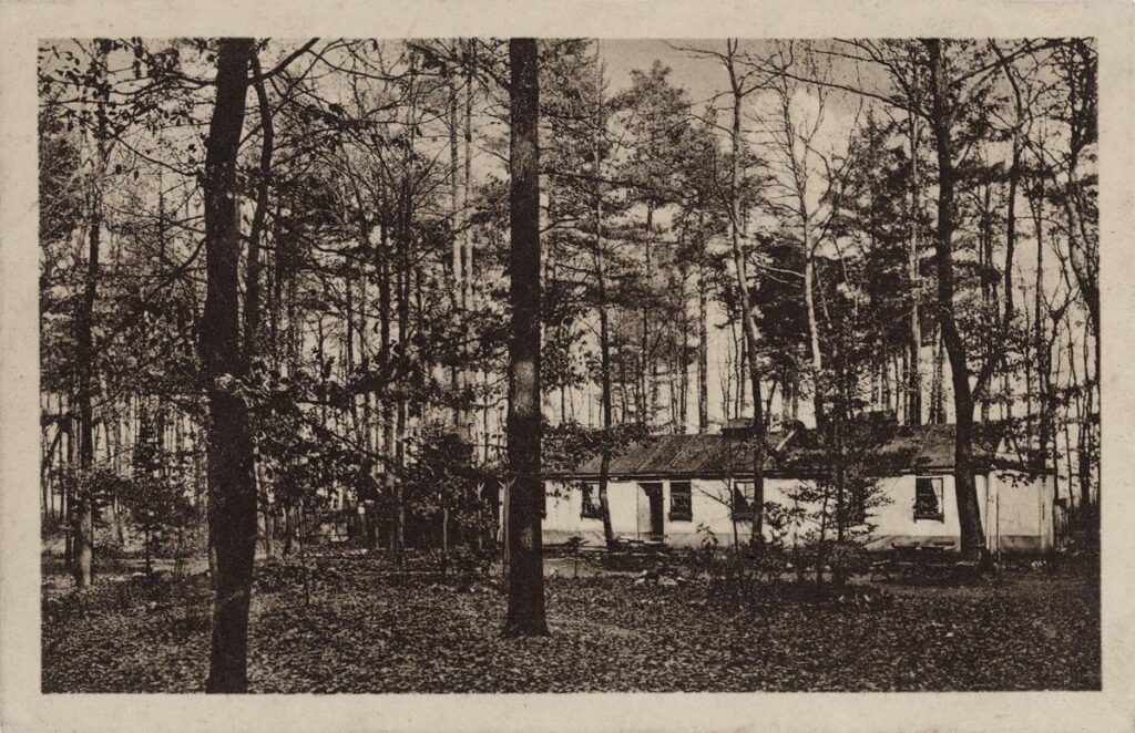 NF Waldheim an der Landesgrenze OG Offenbach (3) (Copy)