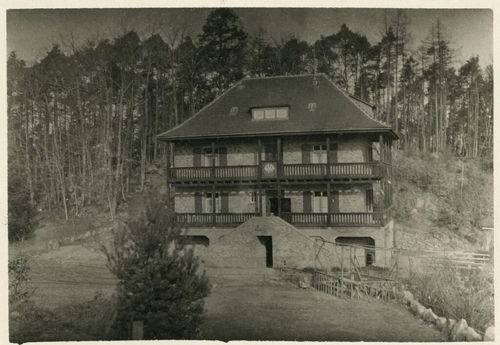 NFH Rimdidim OG Darmstadt (Copy)