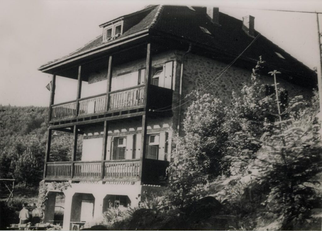 NFH Rimdidim OG Darmstadt (Copy) (Copy)