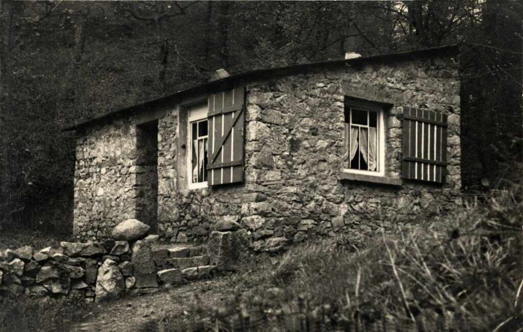 NFH Zwingenberger Hütte (Copy) (Copy)