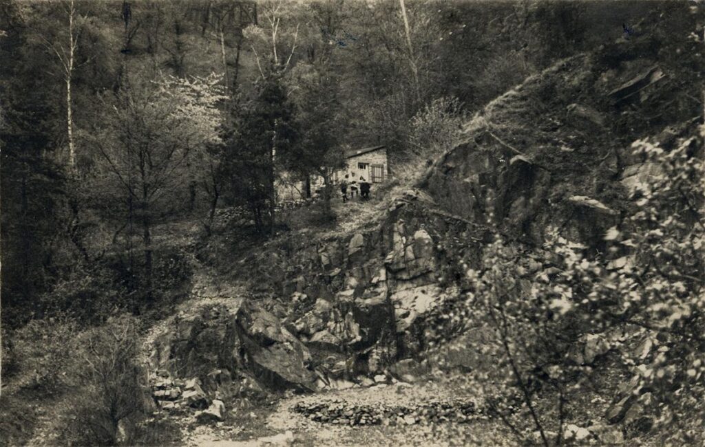 NFH Zwingenberger Hütte OG Langen Egelsbach (Copy) (Copy)