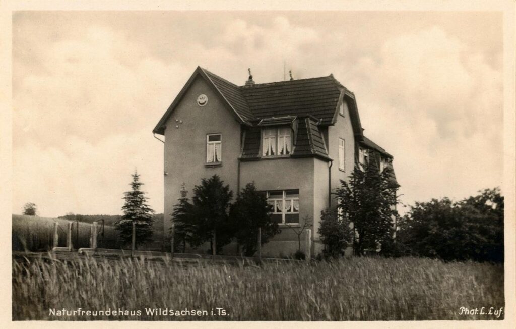 Wildsachsen 6 OG Mainz (Copy) (Copy)